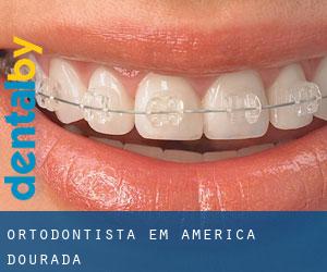 Ortodontista em América Dourada