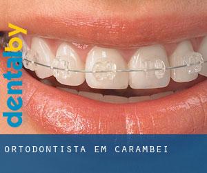 Ortodontista em Carambeí