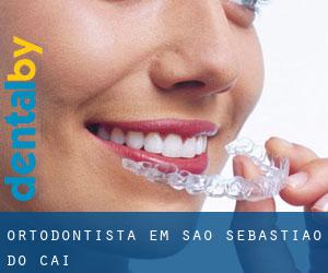 Ortodontista em São Sebastião do Caí