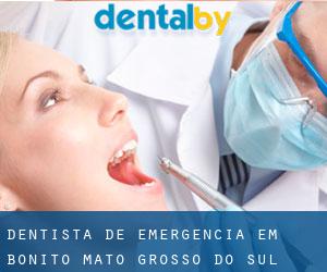 Dentista de emergência em Bonito (Mato Grosso do Sul)