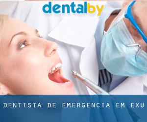 Dentista de emergência em Exu