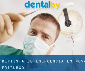 Dentista de emergência em Nova Friburgo