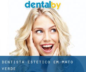 Dentista estético em Mato Verde