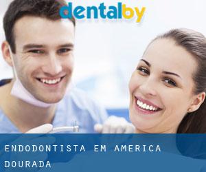 Endodontista em América Dourada