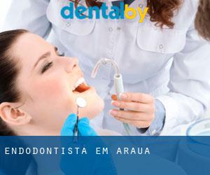 Endodontista em Arauá