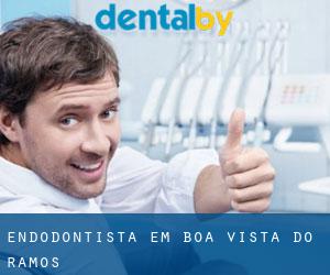 Endodontista em Boa Vista do Ramos