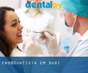 Endodontista em Buri