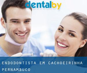Endodontista em Cachoeirinha (Pernambuco)