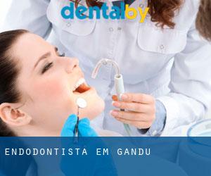 Endodontista em Gandu