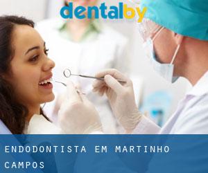 Endodontista em Martinho Campos