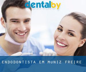Endodontista em Muniz Freire