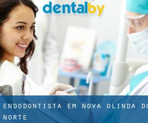 Endodontista em Nova Olinda do Norte