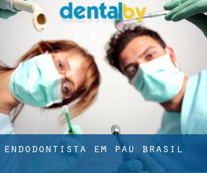 Endodontista em Pau Brasil