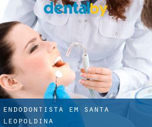 Endodontista em Santa Leopoldina