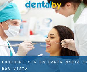 Endodontista em Santa Maria da Boa Vista