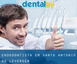 Endodontista em Santo Antônio do Leverger
