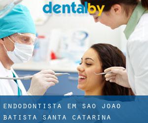 Endodontista em São João Batista (Santa Catarina)