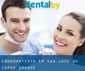Endodontista em São José da Coroa Grande