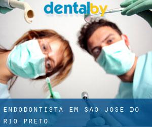 Endodontista em São José do Rio Preto Endodontista em São José do Rio Preto