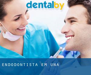 Endodontista em Una